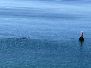 IMG_2828